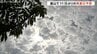 富山で11日ぶりの真夏日予想　日中は蒸し暑く　午後からは前線の影響で雨や雷雨も　富山　　　　|　富山のニュース｜天気・防災｜チューリップテレビ