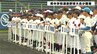 中学球児たちの”センバツ”高知県中学校選抜野球大会が開幕　|　KUTVニュース | KUTVテレビ高知