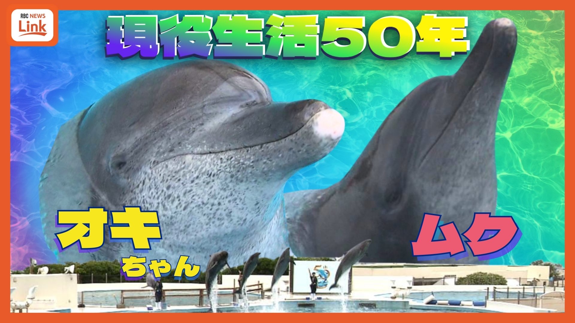 50年現役！「沖縄観光のハイライト」美ら海水族館のオキちゃんとムク