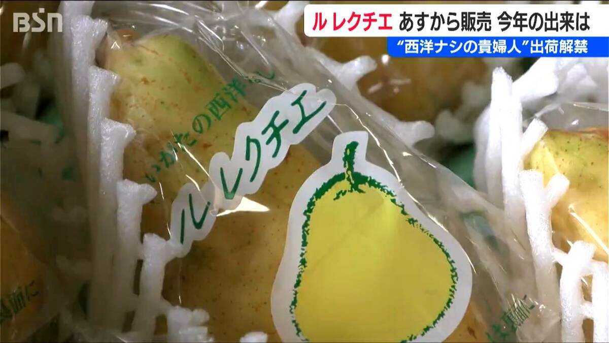 解禁】“甘くてみずみずしい”西洋ナシの貴婦人『ル レクチエ』出荷