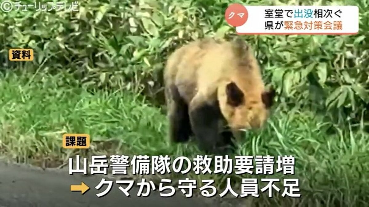 北アルプス立山・室堂平 クマ対策で町猟友会員を派遣 相次ぐ目撃情報を