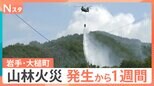 岩手・大槌町の山林火災　発生から1週間「火の勢いは概ね制御下」町に連日の雨　子どもたちを支援する“遊び場”も登場【Nスタ】|TBS NEWS DIG