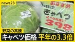 「仕入れ値とんでもなく上がってる」野菜が高騰　キャベツが平年の3.3倍　補助金縮小でガソリンも値上げへ “歴史的水準”に【news23】|TBS NEWS DIG