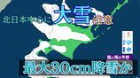 北日本中心に降雪強まる予想　大雪のおそれも　12日夕方までに北海道で最大30cm降雪か　多雪地では雪崩に注意【雪と雨のシミュレーション】　|　富山のニュース｜天気・防災｜チューリップテレビ