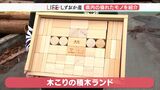 「大井川流域の山がもっと元気になるように」森や山のぬくもり感じる優しい“積木”【しずおか産】 | 静岡のニュース | SBSNEWS | 静岡放送