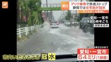 各地で「ゲリラ豪雨」 連日の事態にスーパーのタイムセール前倒しも!?|TBS NEWS DIG