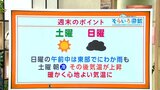 高知の天気 17日は晴れるも18日は雲が広がる 日中はぽかぽか陽気に 東杜和気象予報士が解説|TBS NEWS DIG