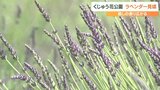 「すごくきれいで香りも最高!」くじゅう花公園で“ラベンダー”が見ごろ 高原の夏彩る 大分 | 大分のニュース|OBS NEWS|大分放送