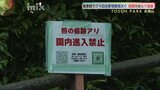 国道沿いの公園　付近でクマの目撃相次ぐ　捕獲用のおりが設置|TBS NEWS DIG