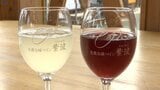 町内産のワインをPRする恒例のイベント始まる 夏の高温少雨がブドウの生育に適していて新酒は高品質 岩手・紫波町|TBS NEWS DIG