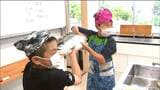 漁師直伝“ギンザケ”料理に児童が挑戦 宮城・石巻市 | 宮城のニュース│tbc NEWS│tbc東北放送