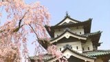 『一度は行ってみたい桜名所』1位は弘前公園（青森県）　園内には52種類で計2600本のサクラ　「城をバックにした満開のサクラを見たい」などの声多数　|　青森のニュース│ATV NEWS│青森テレビ