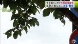 青森県は28日夜遅くにかけて大雨となる所がある見込み　気象台が土砂災害や低い土地の浸水に注意・警戒呼びかけ　|　青森のニュース│ATV NEWS│青森テレビ