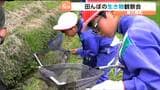 日本固有の生き物がいる田んぼで児童25人が観察会 絶滅危惧種のアカハライモリなど発見 宮城・南三陸町　|　宮城のニュース│tbc NEWS│tbc東北放送