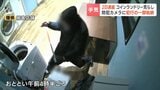 【一部始終】2日連続のコインランドリー荒らし 両替機や券売機など120万円分が被害に 防犯カメラ捉えた犯行 | 北海道のニュース|HBC北海道放送