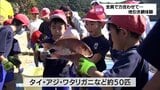 地元の海の豊かさを知って 延岡市で子どもたちが昔ながらの「地引き網」を体験|TBS NEWS DIG