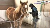 「駿馬のごとく駆け抜ける」 馬耕や馬搬の文化を次世代へつなぐ、馬に夢中な男性たち 岩手 | IBC NEWS | IBC岩手放送