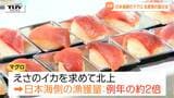 今年の注目は日本海側のマグロ! 東北や県内中心に全国の水産物など集めた展示会 様々な食のアイデアの出会いの場に!(山形市) | 山形のニュース│TUYテレビユー山形