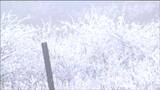 蔵王で初冠雪 平年より8日早く去年より2日早い観測 県内12カ所で今季一番の冷え込み 宮城 |TBS NEWS DIG