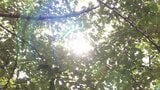 岡山・香川でも朝から各地で30℃超 午前11時に高梁で34.2℃ 岡山で33.7℃ 高松で33.0℃など | 岡山・香川のニュース | 天気 | RSK山陽放送