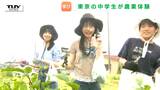 初めての夏野菜収穫！東京の中学生が酒田市で農業を体験　農村と都市…別の場所で生活する人たちが繋がる機会に（山形）|TBS NEWS DIG
