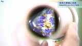 色とりどりの不思議な世界~冬休み中の子どもたちが「液体万華鏡」づくりに挑戦 盛岡市|TBS NEWS DIG