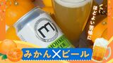 廃棄される「みかん」→ビールに有効活用、“糖度”と“酸味”でブランド化　|　福岡のニュース｜RKB NEWS｜RKB毎日放送