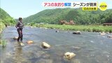 広島県内ではトップ　江の川や支流でアユの友釣り解禁「ことしは1000匹いきたい」　|　RCC NEWS | 広島ニュース | RCC中国放送
