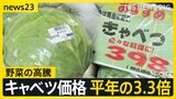 「仕入れ値とんでもなく上がってる」野菜が高騰 キャベツが平年の3.3倍 補助金縮小でガソリンも値上げへ “歴史的水準”に【news23】|TBS NEWS DIG
