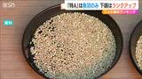 「『特A』は魚沼コシのみ」「下越とこしいぶきはランクアップ」24年産コメの食味ランキング |TBS NEWS DIG