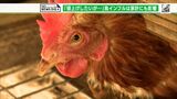 「客から『また、値上げをした』といわれるのは厳しい」“過去最悪”鳥インフル感染拡大で鶏肉や卵の価格高騰に各地で悲鳴 養鶏業者も「祈るしかない」 | 静岡のニュース | SBSNEWS | 静岡放送