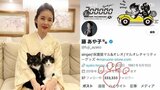 【藤あや子】フォロニャー333,333人（ミャーミャーミャーミャーミャーミャー）達成　その瞬間は ”代行スクショ” 　記念グッズを検討開始|TBS NEWS DIG