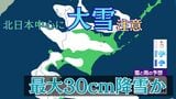 北日本中心に降雪強まる予想　大雪のおそれも　12日夕方までに北海道で最大30cm降雪か　多雪地では雪崩に注意【雪と雨のシミュレーション】　|　富山のニュース｜天気・防災｜チューリップテレビ