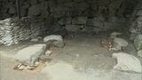 「福岡城のかつての姿を調査して後世まで継承していきたい」国史跡・福岡城跡「天守台」で発掘調査|TBS NEWS DIG