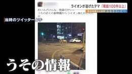 「ライオン逃げた」熊本地震のデマ　震度7の裏側で"避難や復旧を妨げた"もう一つの混乱|TBS NEWS DIG