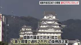 “禁止区域”での路上喫煙で過料「1000円→2万円」へ　条例改正案が姫路市議会で可決…路上喫煙に関する条例での過料として全国最高額か　7月1日から施行|TBS NEWS DIG