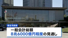 暫定予算案 一般会計総額は8.6兆円規模に　年度内成立のメドたたず|TBS NEWS DIG