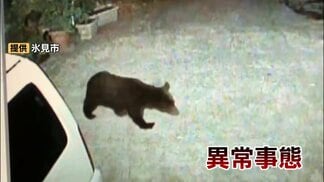 市街地を “安全な餌場” と記憶したクマ…専門家「異常が常態化している」背景に “クマの高い学習能力” 富山県内の出没はこれまでの2倍　|　富山のニュース｜天気・防災｜チューリップテレビ