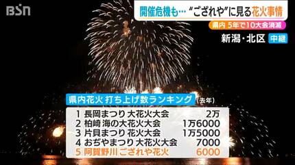 5年間で10大会が“消滅” 開催を諦めかけた『阿賀野川ござれや花火』に