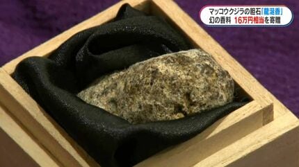 奄美大島で発見の“幻の香り”「龍涎香」16万5000円相当 奄美市に寄贈