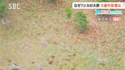 山肌が茶色に…南アルプスに「シカの大群」【ききミミ！】ふもとの大鹿