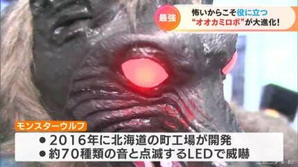 お前だけは許さない」 海を渡るイノシシとも戦ってきたオオカミ型