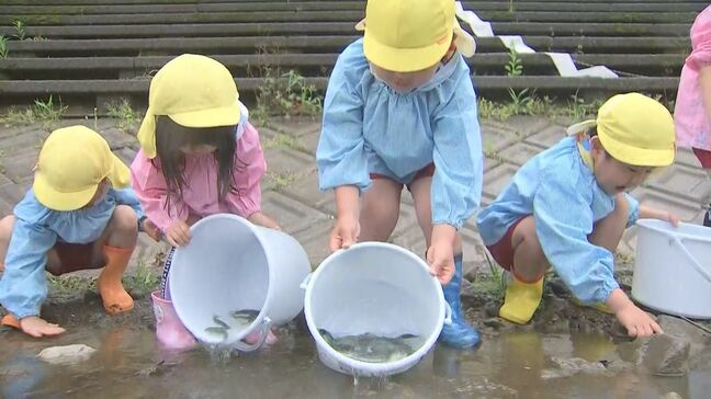 園児がアユの稚魚を放流 「大きくなってね」願いを込めて3万5千匹 大分・臼杵市|TBS NEWS DIG