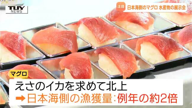 今年の注目は日本海側のマグロ! 東北や県内中心に全国の水産物など集めた展示会 様々な食のアイデアの出会いの場に!(山形市) |TBS NEWS DIG