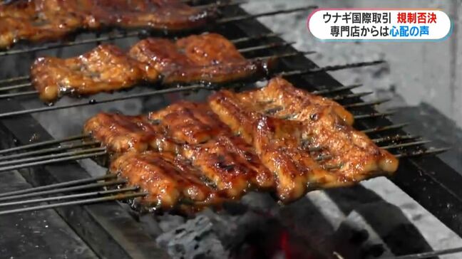 ウナギの国際取引規制は一旦「否決」も再投票の可能性　ウナギ専門店「国内のウナギがなくなってしまうのでは」鹿児島|TBS NEWS DIG