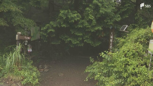 「登山中に滑落してしまいました」天城山で70代・40代の親子が20メートル滑落 静岡県の防災ヘリで救助|TBS NEWS DIG