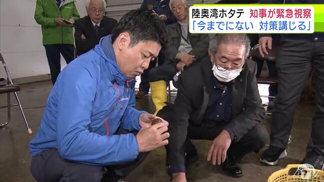 「今までにない対策を講じていかなければならない」今年度の水揚げが激減の見込みの『陸奥湾産ホタテ』青森県・宮下宗一郎知事が緊急視察|TBS NEWS DIG