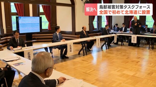 シカなどの鳥獣から農作物を守れ!全国初「鳥獣被害対策タスクフォース」北海道に設置、根本幸典農水副大臣「大事なのは食料の安全保障、北海道は強いメッセージに」|TBS NEWS DIG