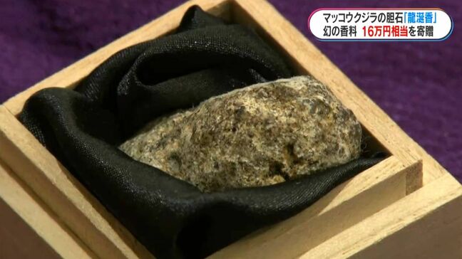 奄美大島で発見の“幻の香り”「龍涎香」16万5000円相当　奄美市に寄贈「高貴でリラックス…」|TBS NEWS DIG