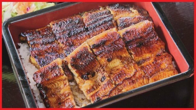 鰻重5800円➡3800円に　ウナギ稚魚豊漁「値段が下がり思い切った価格に」　山梨・鰻川|TBS NEWS DIG